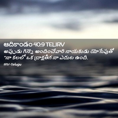 Picture 02 - ఆదికాండం 40:9 TELIRV - అప్పుడు గిన్నె - Bible Verse Picture