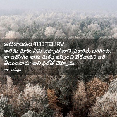 Picture 02 - ఆదికాండం 41:13 TELIRV - అతడు మాకు ఏమి - Bible Verse Picture