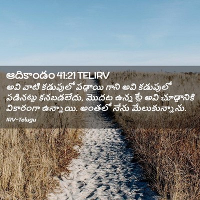 Picture 02 - ఆదికాండం 41:21 TELIRV - అవి వాటి కడుపులో - Bible Verse Picture