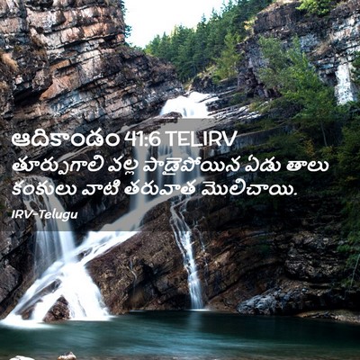 Picture 02 - ఆదికాండం 41:6 TELIRV - తూర్పుగాలి వల్ల - Bible Verse Picture