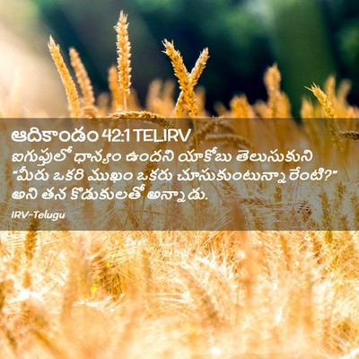 Picture 02 - ఆదికాండం 42:1 TELIRV - ఐగుప్తులో ధాన్యం - Bible Verse Picture