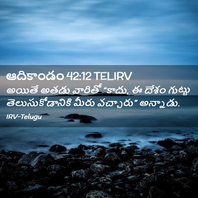 Picture 02 - ఆదికాండం 42:12 TELIRV - అయితే అతడు వారితో - Bible Verse Picture