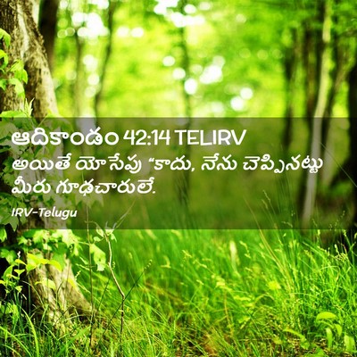 Picture 02 - ఆదికాండం 42:14 TELIRV - అయితే యోసేపు - Bible Verse Picture