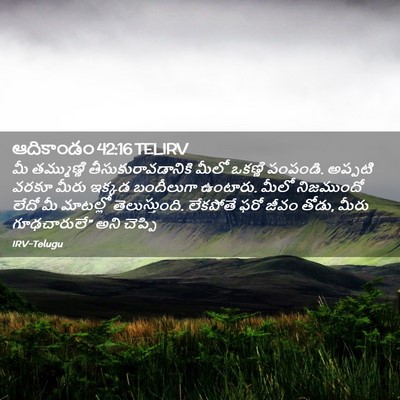 Picture 02 - ఆదికాండం 42:16 TELIRV - మీ తమ్ముణ్ణి - Bible Verse Picture