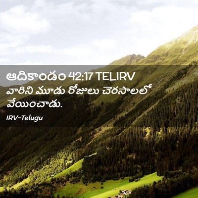 Picture 02 - ఆదికాండం 42:17 TELIRV - వారిని మూడు - Bible Verse Picture