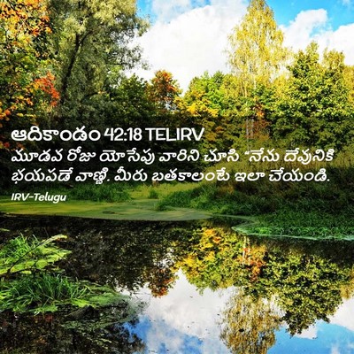 Picture 02 - ఆదికాండం 42:18 TELIRV - మూడవ రోజు యోసేపు - Bible Verse Picture