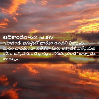 Picture 02 - ఆదికాండం 42:2 TELIRV - “చూడండి, - Bible Verse Picture