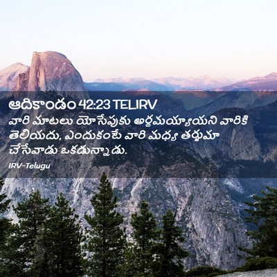 Picture 02 - ఆదికాండం 42:23 TELIRV - వారి మాటలు - Bible Verse Picture