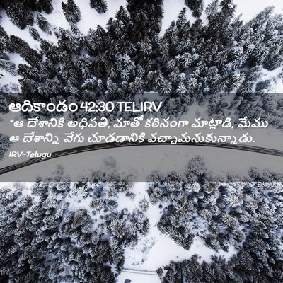 Picture 02 - ఆదికాండం 42:30 TELIRV - “ఆ దేశానికి - Bible Verse Picture