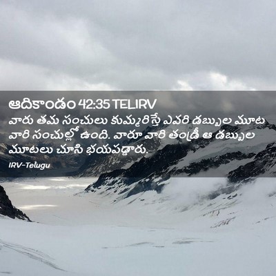 Picture 02 - ఆదికాండం 42:35 TELIRV - వారు తమ సంచులు - Bible Verse Picture