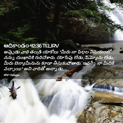 Picture 02 - ఆదికాండం 42:36 TELIRV - అప్పుడు వారి - Bible Verse Picture