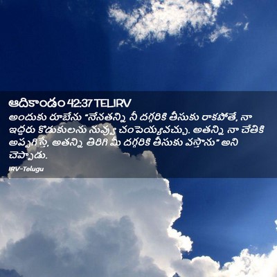 Picture 02 - ఆదికాండం 42:37 TELIRV - అందుకు రూబేను - Bible Verse Picture