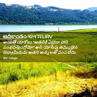 Picture 02 - ఆదికాండం 42:4 TELIRV - అయితే యాకోబు - Bible Verse Picture