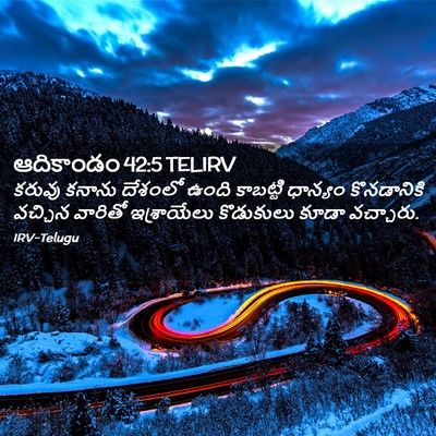 Picture 02 - ఆదికాండం 42:5 TELIRV - కరువు కనాను - Bible Verse Picture