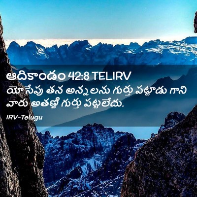 Picture 02 - ఆదికాండం 42:8 TELIRV - యోసేపు తన అన్నలను - Bible Verse Picture