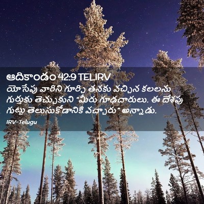 Picture 02 - ఆదికాండం 42:9 TELIRV - యోసేపు వారిని - Bible Verse Picture