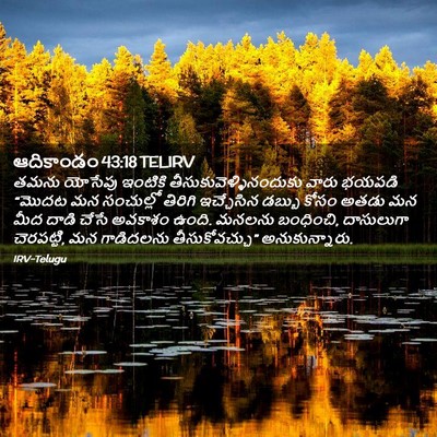 Picture 02 - ఆదికాండం 43:18 TELIRV - తమను యోసేపు - Bible Verse Picture