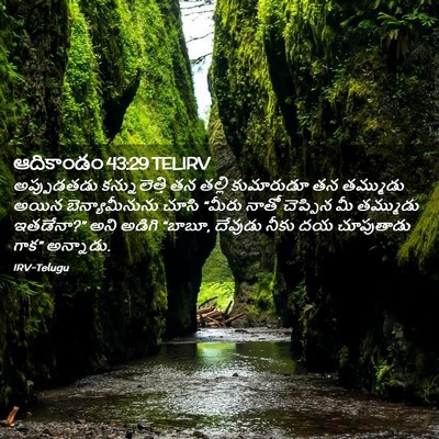 Picture 02 - ఆదికాండం 43:29 TELIRV - అప్పుడతడు - Bible Verse Picture