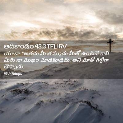 Picture 02 - ఆదికాండం 43:3 TELIRV - యూదా “అతడు మీ - Bible Verse Picture