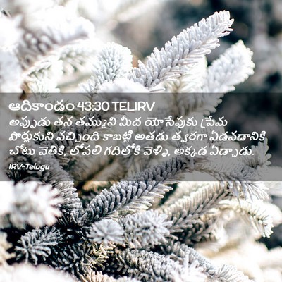 Picture 02 - ఆదికాండం 43:30 TELIRV - అప్పుడు తన - Bible Verse Picture