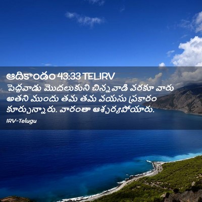 Picture 02 - ఆదికాండం 43:33 TELIRV - పెద్దవాడు - Bible Verse Picture