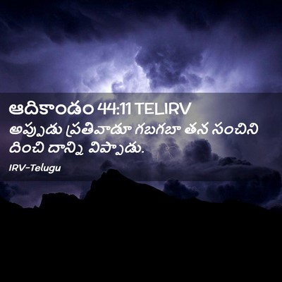 Picture 02 - ఆదికాండం 44:11 TELIRV - అప్పుడు ప్రతివాడూ - Bible Verse Picture