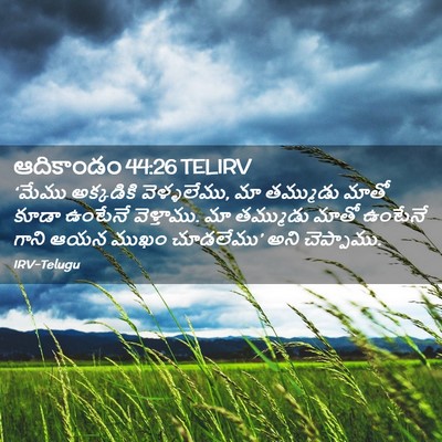 Picture 02 - ఆదికాండం 44:26 TELIRV - ‘మేము అక్కడికి - Bible Verse Picture