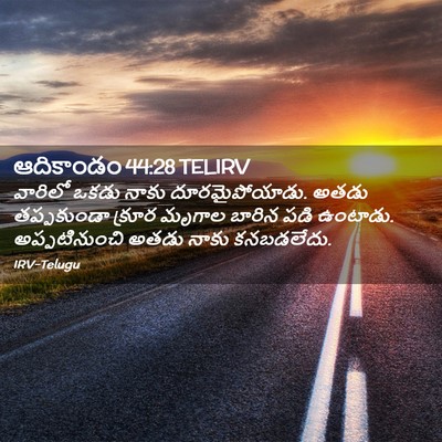 Picture 02 - ఆదికాండం 44:28 TELIRV - వారిలో ఒకడు నాకు - Bible Verse Picture