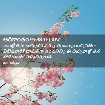 Picture 02 - ఆదికాండం 44:33 TELIRV - కాబట్టి తమ - Bible Verse Picture