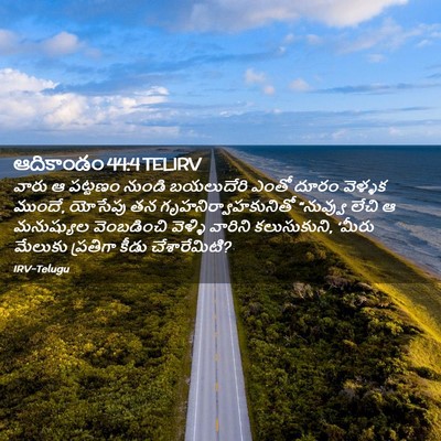 Picture 02 - ఆదికాండం 44:4 TELIRV - వారు ఆ పట్టణం - Bible Verse Picture