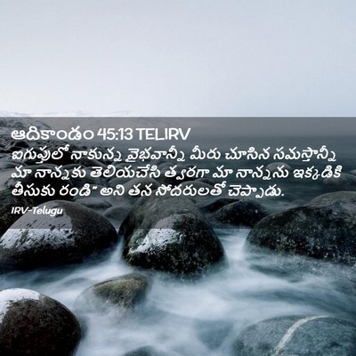 Picture 02 - ఆదికాండం 45:13 TELIRV - ఐగుప్తులో నాకున్న - Bible Verse Picture