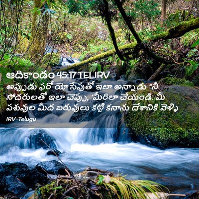 Picture 02 - ఆదికాండం 45:17 TELIRV - అప్పుడు ఫరో - Bible Verse Picture