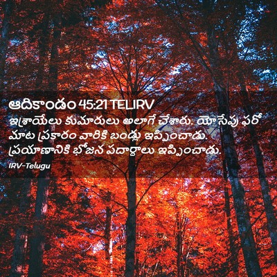 Picture 02 - ఆదికాండం 45:21 TELIRV - ఇశ్రాయేలు - Bible Verse Picture