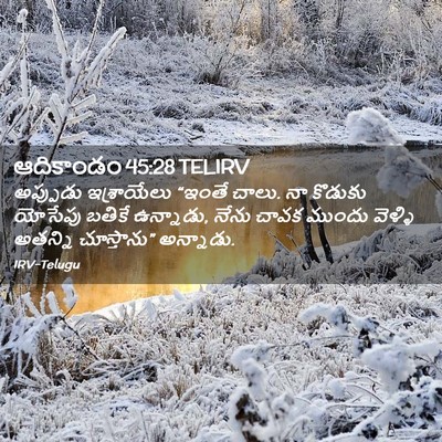 Picture 02 - ఆదికాండం 45:28 TELIRV - అప్పుడు ఇశ్రాయేలు - Bible Verse Picture