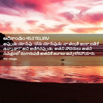 Picture 02 - ఆదికాండం 45:3 TELIRV - అప్పుడు యోసేపు - Bible Verse Picture