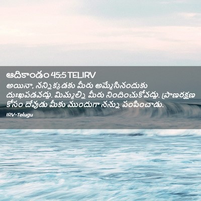Picture 02 - ఆదికాండం 45:5 TELIRV - అయినా, - Bible Verse Picture