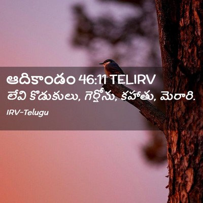 Picture 02 - ఆదికాండం 46:11 TELIRV - లేవి కొడుకులు, - Bible Verse Picture