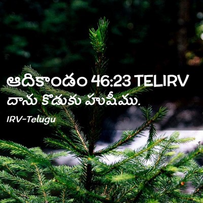 Picture 02 - ఆదికాండం 46:23 TELIRV - దాను కొడుకు - Bible Verse Picture