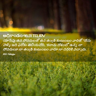 Picture 02 - ఆదికాండం 46:31 TELIRV - యోసేపు తన - Bible Verse Picture
