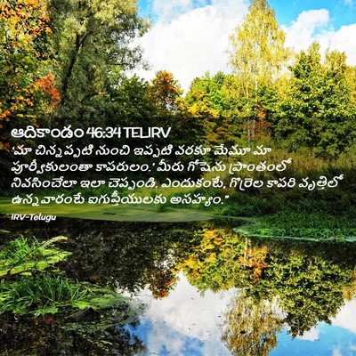 Picture 02 - ఆదికాండం 46:34 TELIRV - ‘మా చిన్నప్పటి - Bible Verse Picture