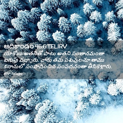 Picture 02 - ఆదికాండం 46:6 TELIRV - యాకోబు అతనితో - Bible Verse Picture
