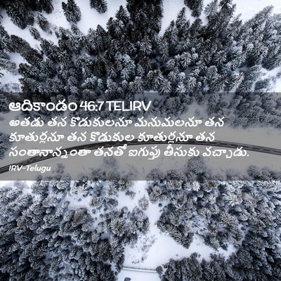Picture 02 - ఆదికాండం 46:7 TELIRV - అతడు తన కొడుకులనూ - Bible Verse Picture