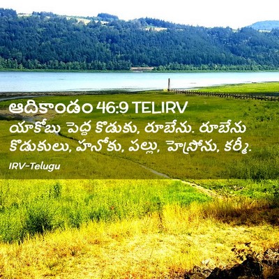 Picture 02 - ఆదికాండం 46:9 TELIRV - యాకోబు పెద్ద - Bible Verse Picture