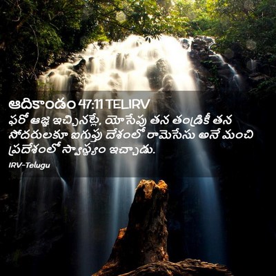 Picture 02 - ఆదికాండం 47:11 TELIRV - ఫరో ఆజ్ఞ - Bible Verse Picture