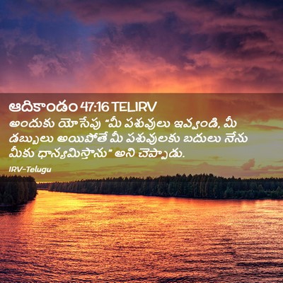 Picture 02 - ఆదికాండం 47:16 TELIRV - అందుకు యోసేపు “మీ - Bible Verse Picture