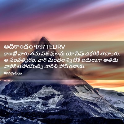 Picture 02 - ఆదికాండం 47:17 TELIRV - కాబట్టి వారు తమ - Bible Verse Picture