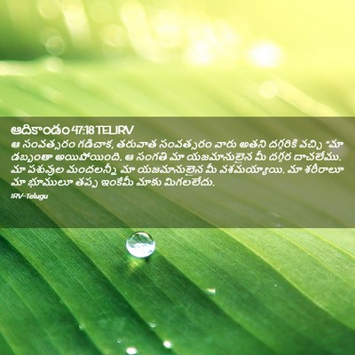 Picture 02 - ఆదికాండం 47:18 TELIRV - ఆ సంవత్సరం గడిచాక, - Bible Verse Picture