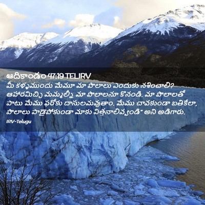 Picture 02 - ఆదికాండం 47:19 TELIRV - మీ కళ్ళముందు మేమూ - Bible Verse Picture