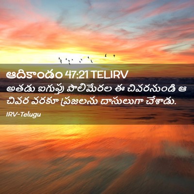 Picture 02 - ఆదికాండం 47:21 TELIRV - అతడు ఐగుప్తు - Bible Verse Picture