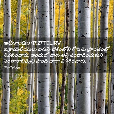 Picture 02 - ఆదికాండం 47:27 TELIRV - ఇశ్రాయేలీయులు - Bible Verse Picture